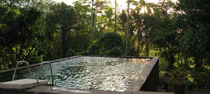 the-pool-at-sunset[1]